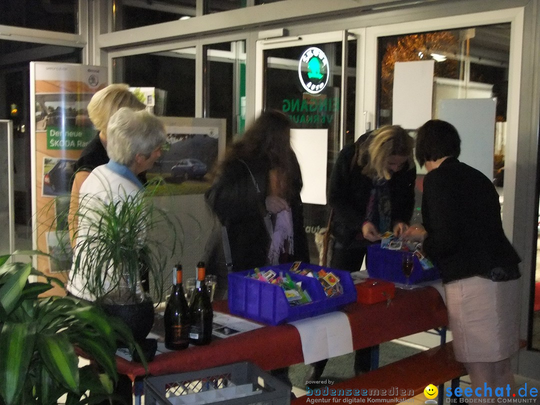 1. Singleparty mit Speed Dating: Laupheim, 09.11.2012