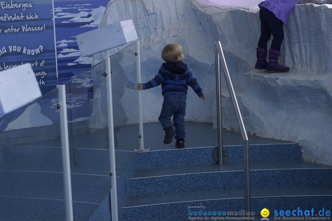 SEA LIFE: Unterwasserwelt: Konstanz am Bodensee, 23.11.2012