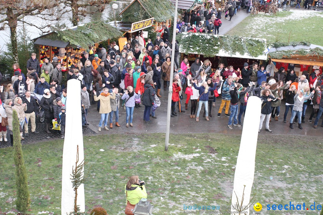 Flashmob: BODENS.EE Gangnam Style by seechat.de: Konstanz, 15.12.12