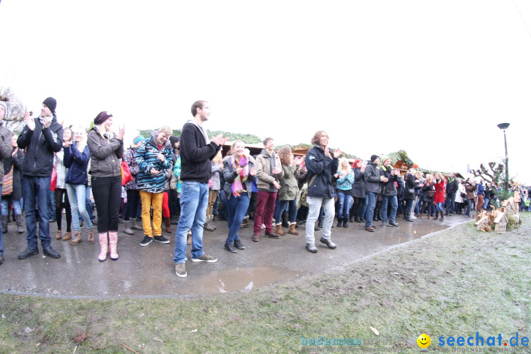 Flashmob: BODENS.EE Gangnam Style by seechat.de: Konstanz, 15.12.12