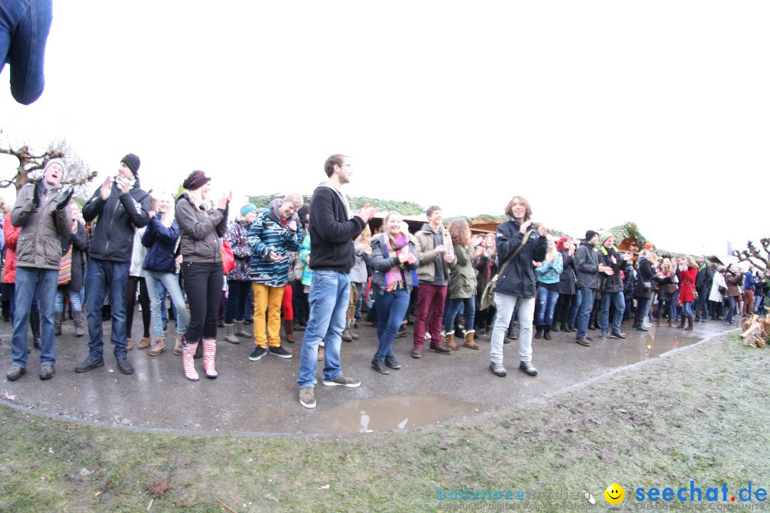 Flashmob: BODENS.EE Gangnam Style by seechat.de: Konstanz, 15.12.12