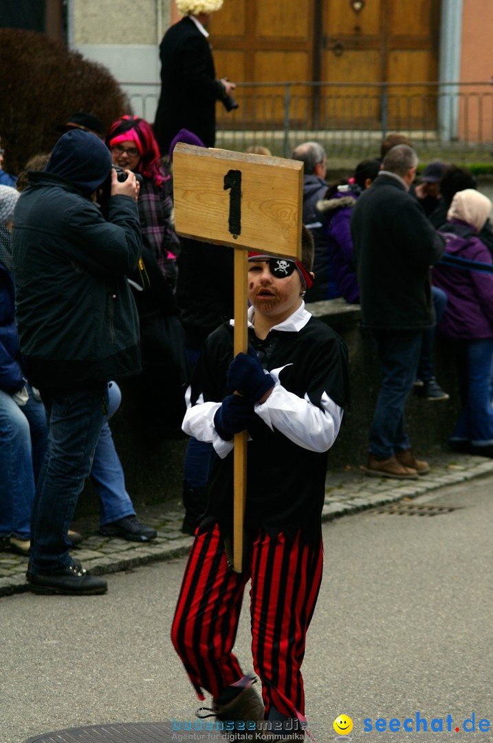 Fasnets-Umzug: Schweiz - Diessenhofen am Bodensee, 13.01.2013