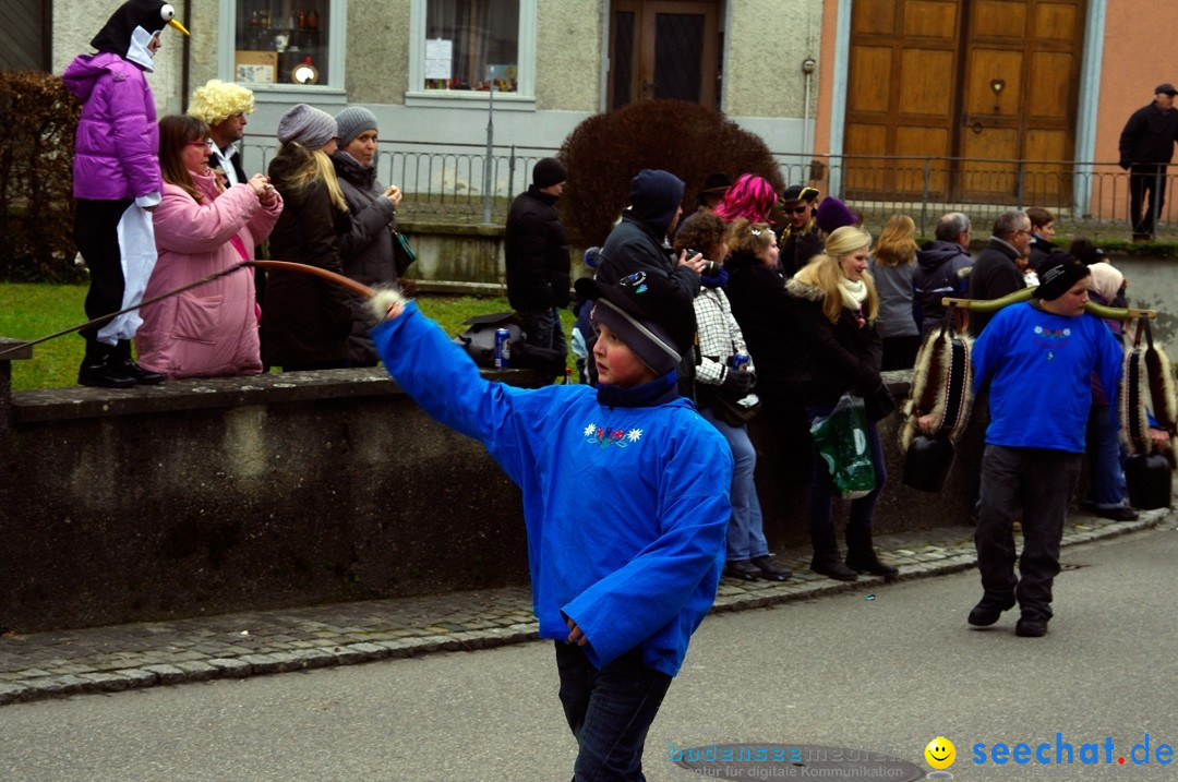 Fasnets-Umzug: Schweiz - Diessenhofen am Bodensee, 13.01.2013