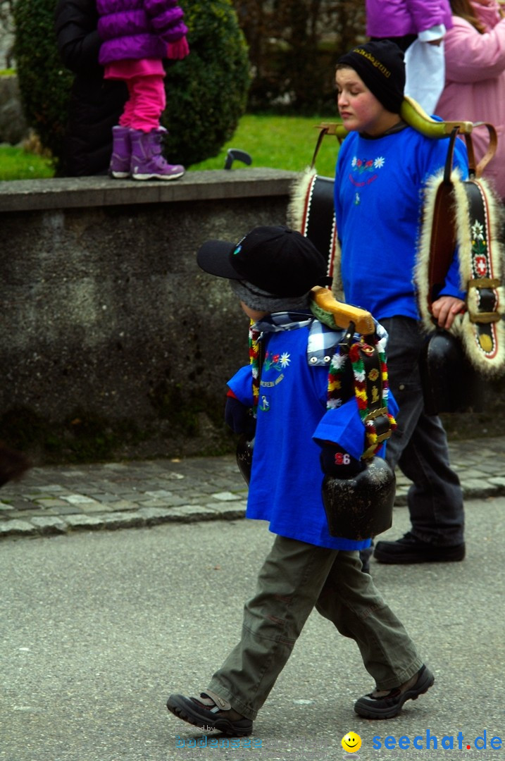 Fasnets-Umzug: Schweiz - Diessenhofen am Bodensee, 13.01.2013