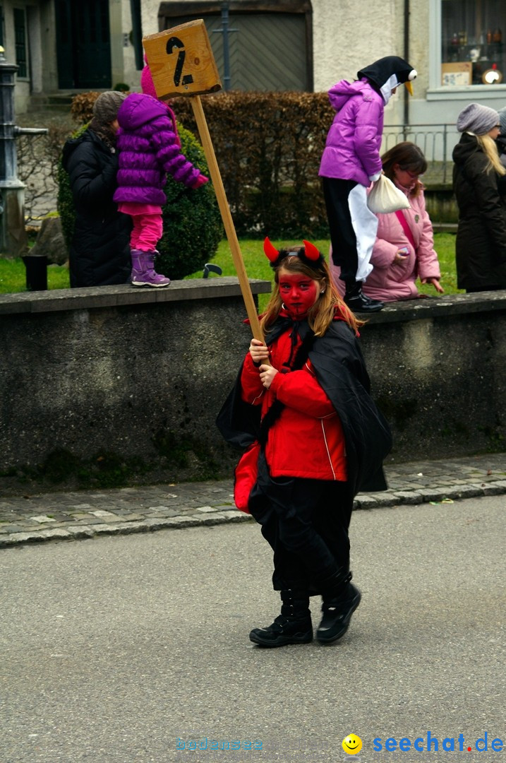 Fasnets-Umzug: Schweiz - Diessenhofen am Bodensee, 13.01.2013