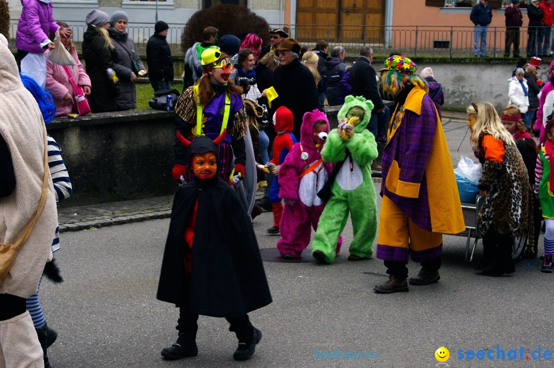 Fasnets-Umzug: Schweiz - Diessenhofen am Bodensee, 13.01.2013