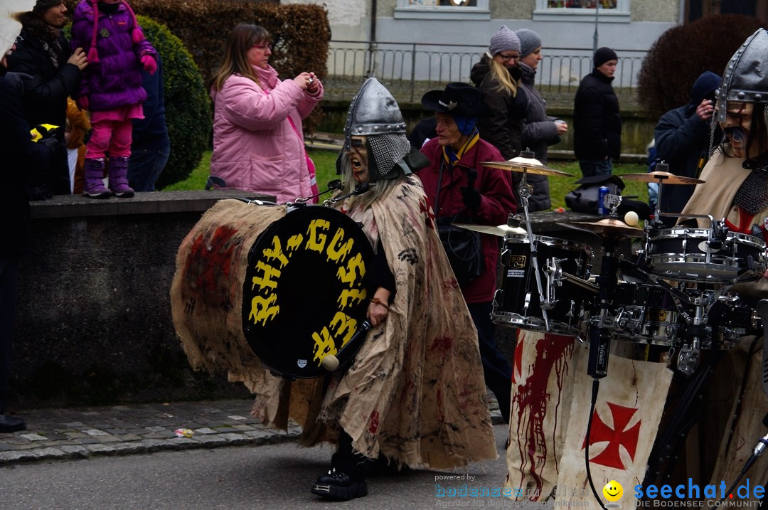 Fasnets-Umzug: Schweiz - Diessenhofen am Bodensee, 13.01.2013