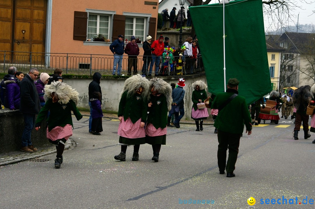 Fasnets-Umzug: Schweiz - Diessenhofen am Bodensee, 13.01.2013