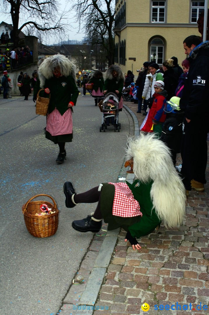 Fasnets-Umzug: Schweiz - Diessenhofen am Bodensee, 13.01.2013