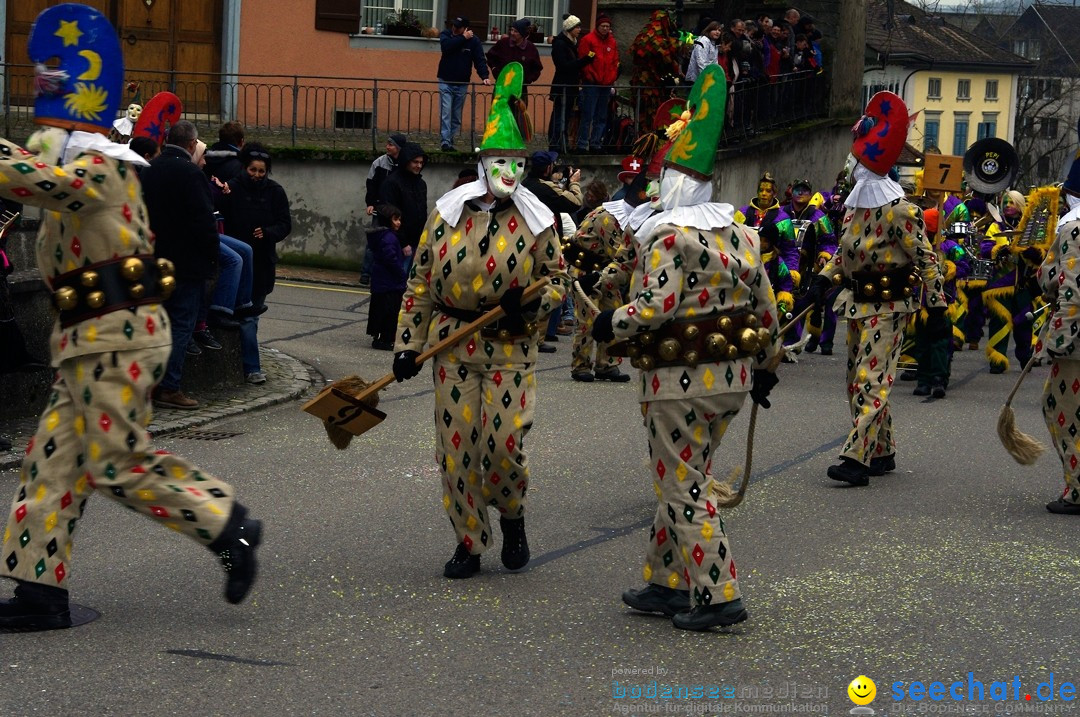 Fasnets-Umzug: Schweiz - Diessenhofen am Bodensee, 13.01.2013