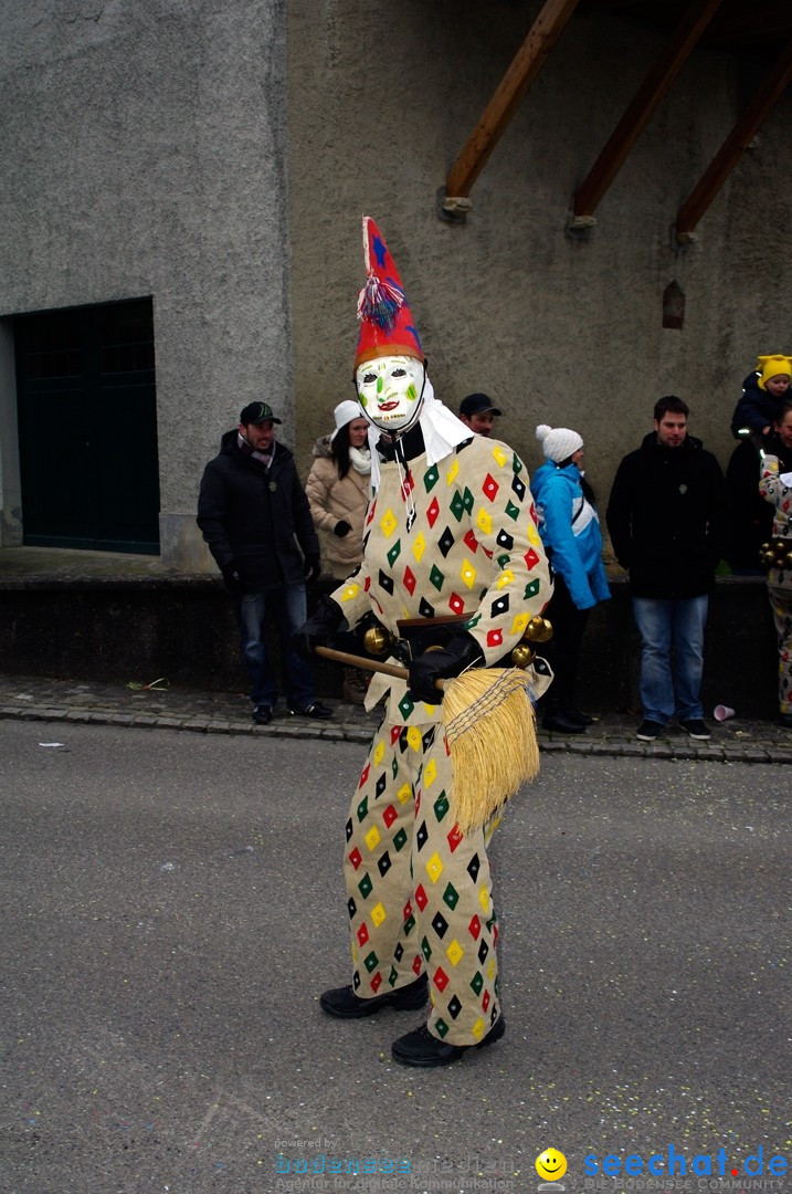 Fasnets-Umzug: Schweiz - Diessenhofen am Bodensee, 13.01.2013