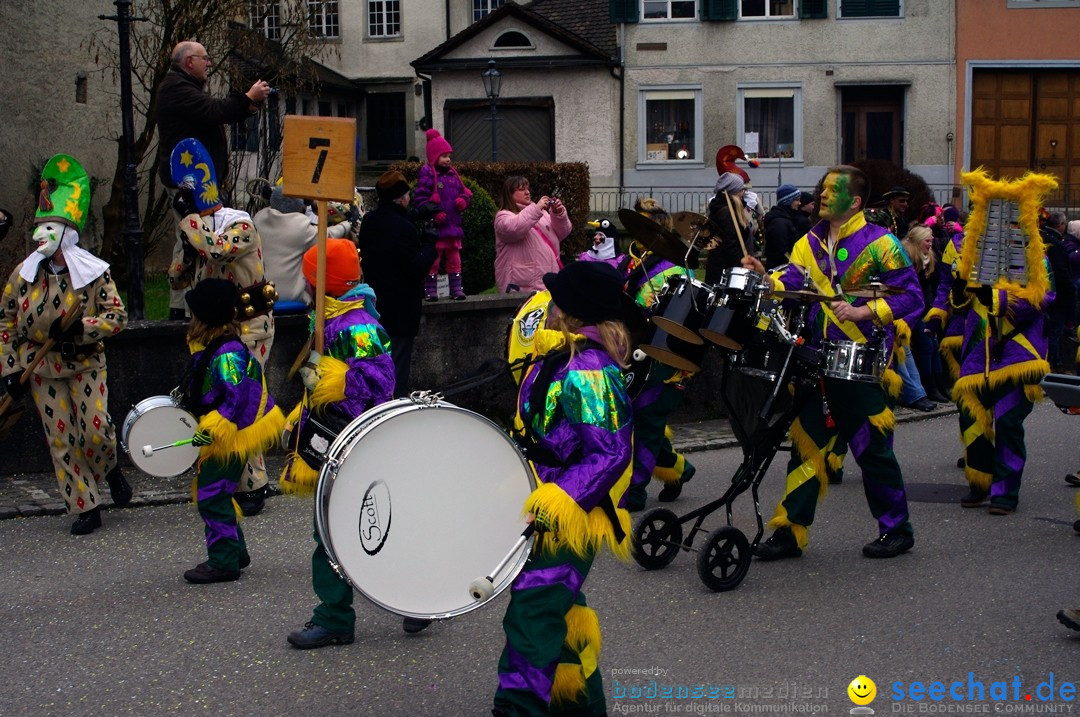 Fasnets-Umzug: Schweiz - Diessenhofen am Bodensee, 13.01.2013