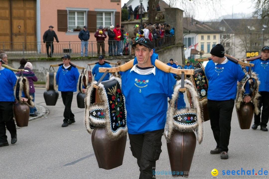 Fasnets-Umzug: Schweiz - Diessenhofen am Bodensee, 13.01.2013