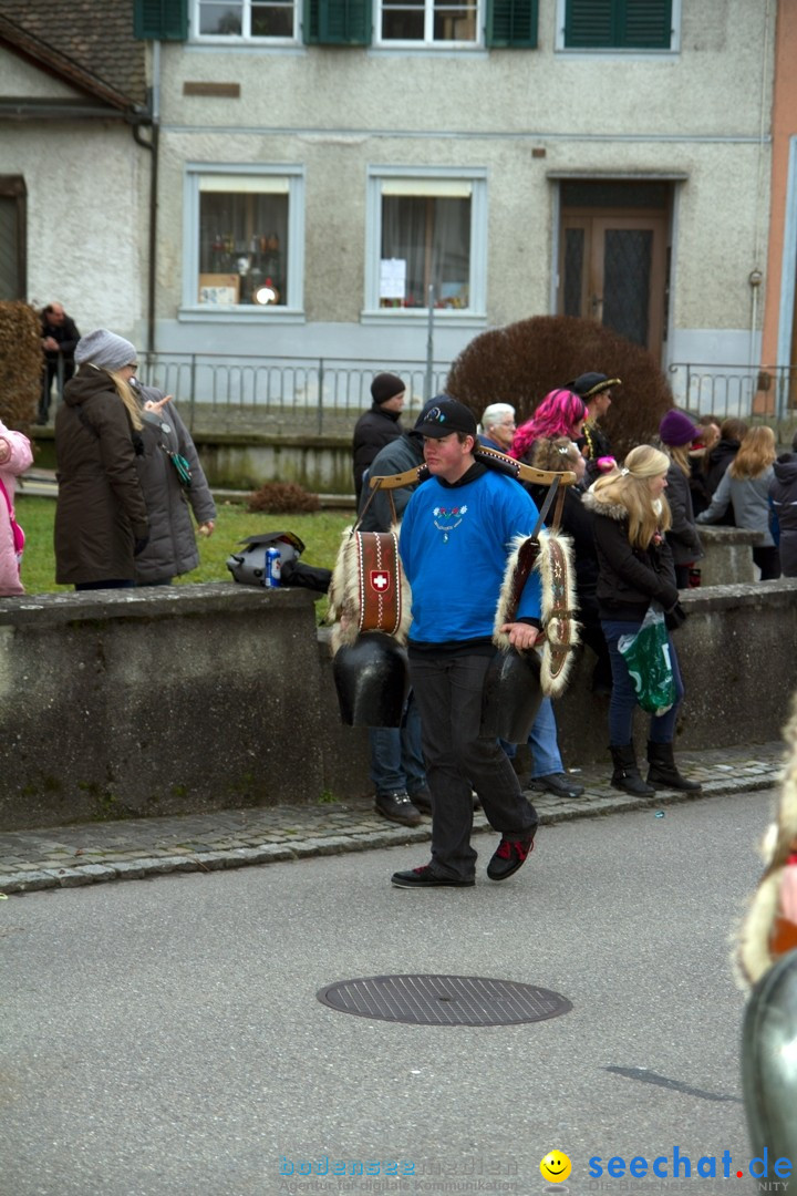 Fasnets-Umzug: Schweiz - Diessenhofen am Bodensee, 13.01.2013