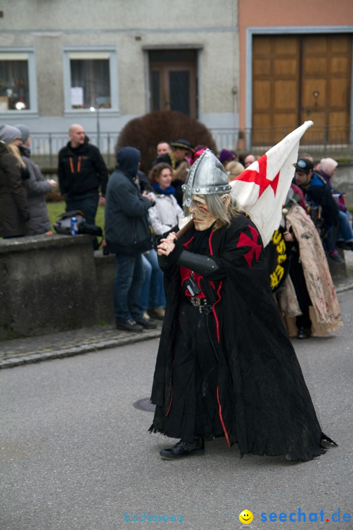 Fasnets-Umzug: Schweiz - Diessenhofen am Bodensee, 13.01.2013