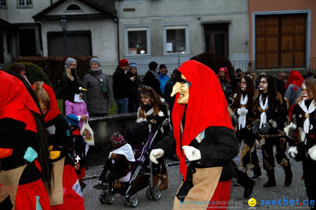 Fasnets-Umzug: Schweiz - Diessenhofen am Bodensee, 13.01.2013