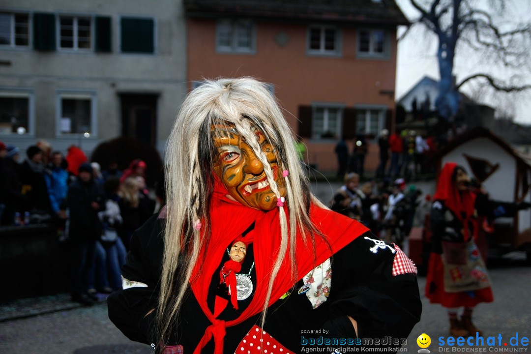 Fasnets-Umzug: Schweiz - Diessenhofen am Bodensee, 13.01.2013