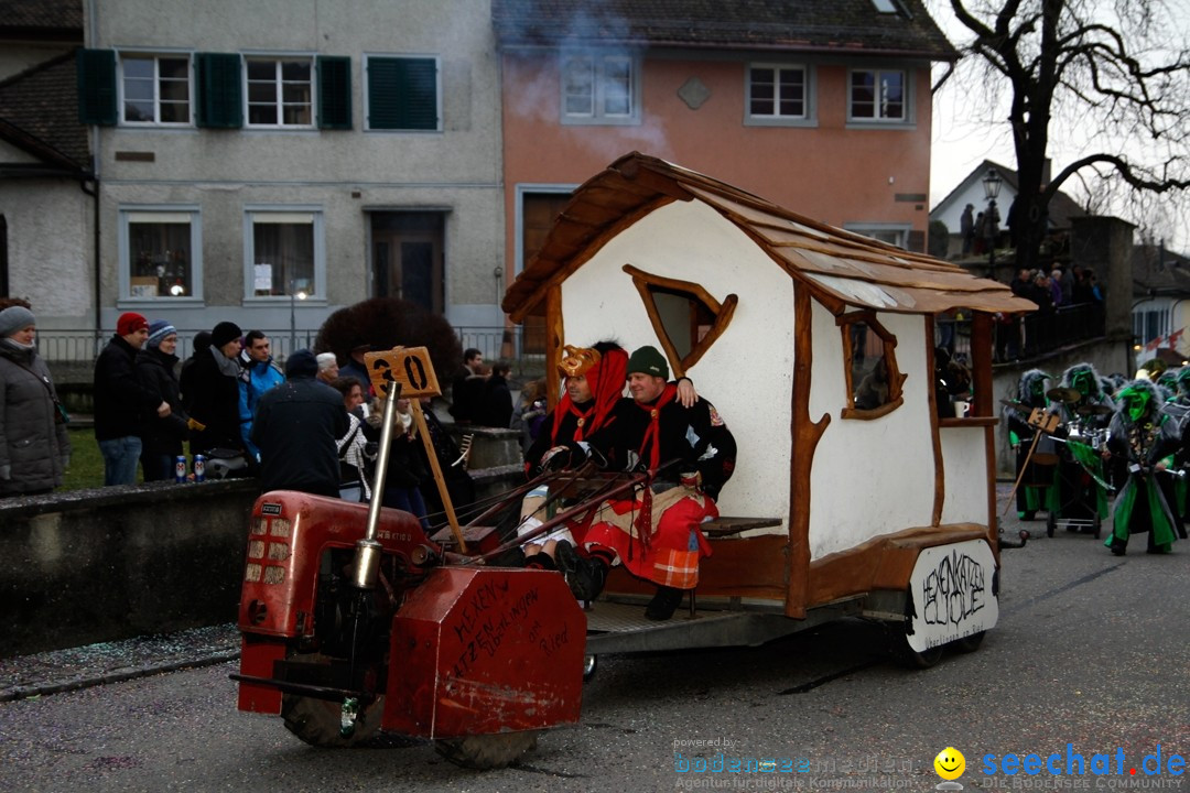 Fasnets-Umzug: Schweiz - Diessenhofen am Bodensee, 13.01.2013