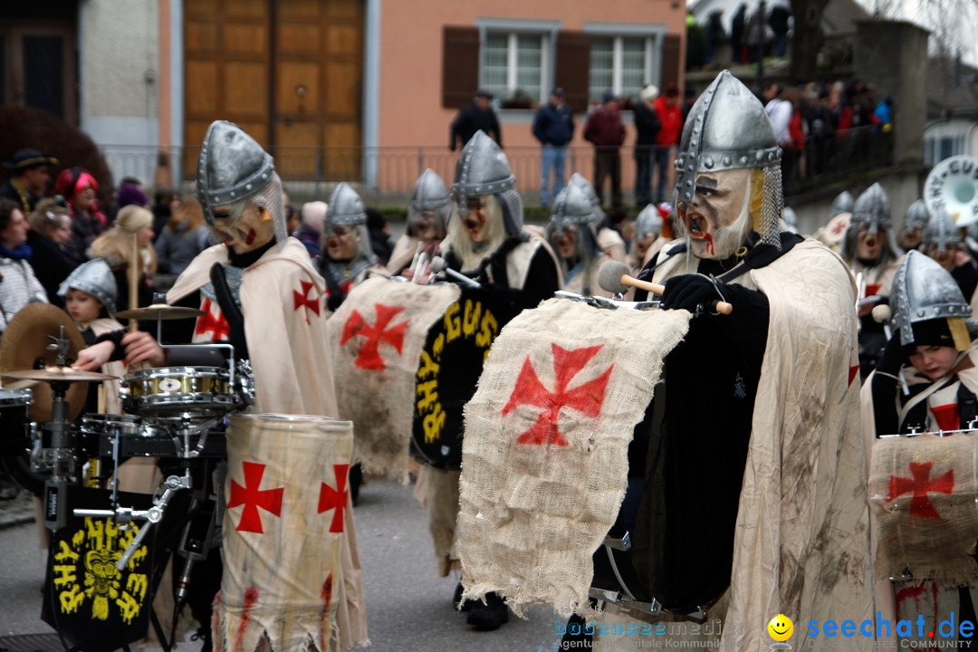 Fasnets-Umzug: Schweiz - Diessenhofen am Bodensee, 13.01.2013