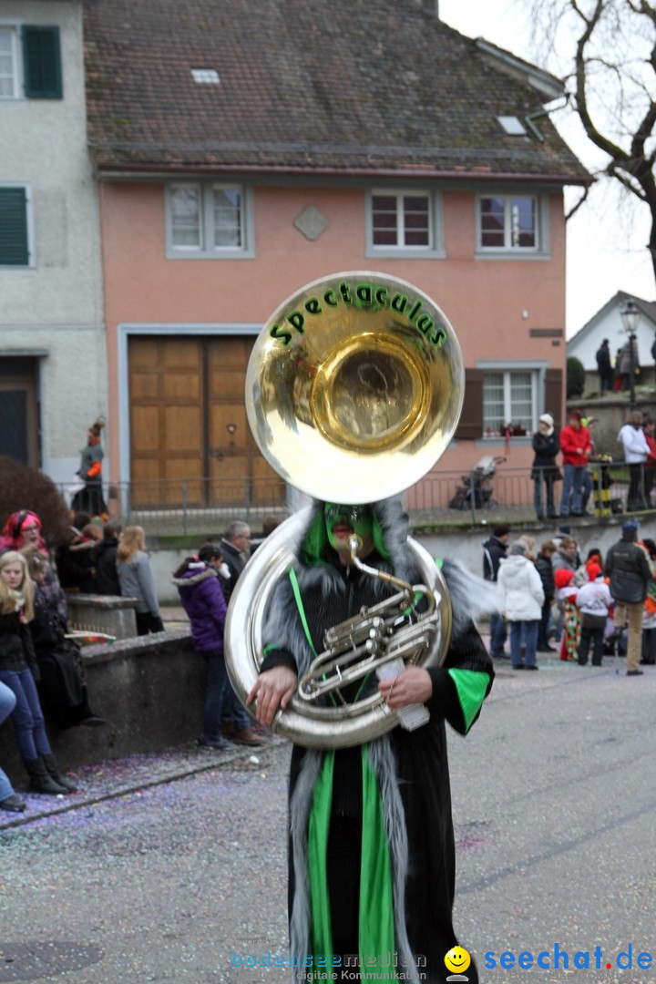 Fasnets-Umzug: Schweiz - Diessenhofen am Bodensee, 13.01.2013