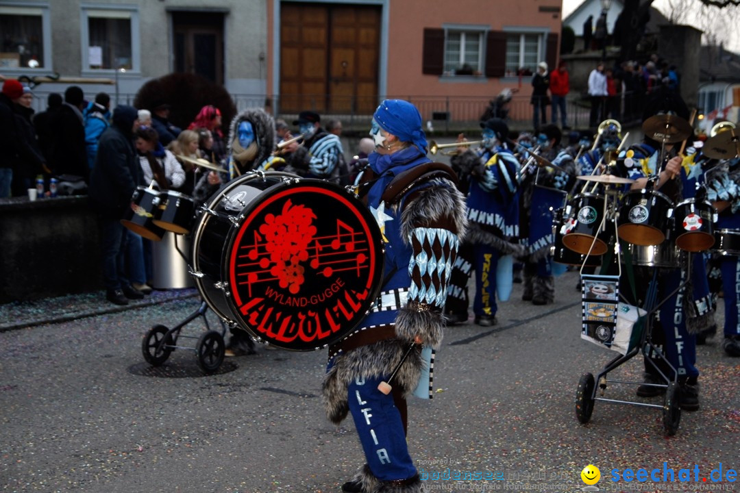 Fasnets-Umzug: Schweiz - Diessenhofen am Bodensee, 13.01.2013