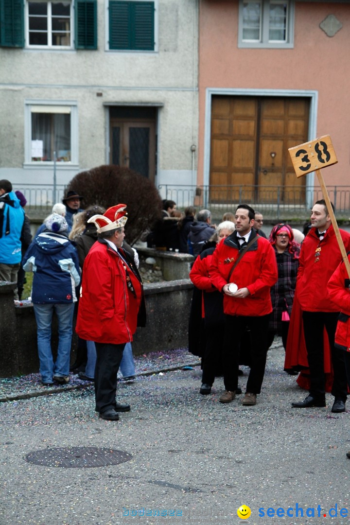 Fasnets-Umzug: Schweiz - Diessenhofen am Bodensee, 13.01.2013