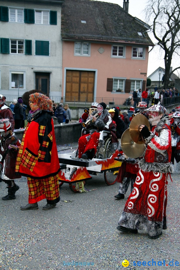 Fasnets-Umzug: Schweiz - Diessenhofen am Bodensee, 13.01.2013