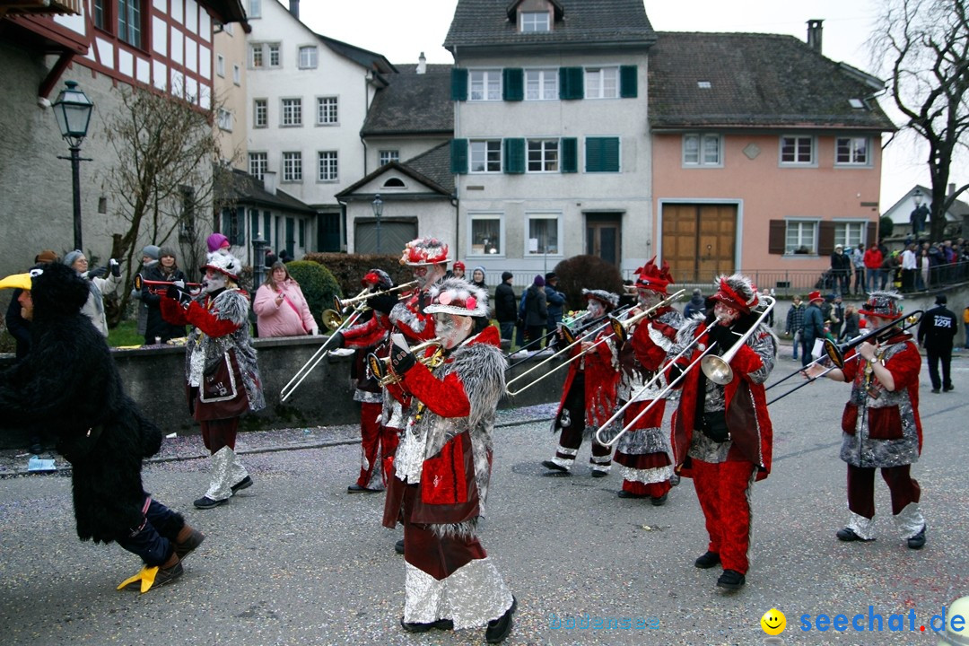 Fasnets-Umzug: Schweiz - Diessenhofen am Bodensee, 13.01.2013