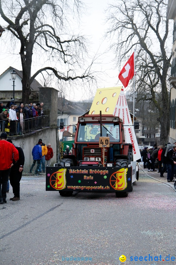 Fasnets-Umzug: Schweiz - Diessenhofen am Bodensee, 13.01.2013