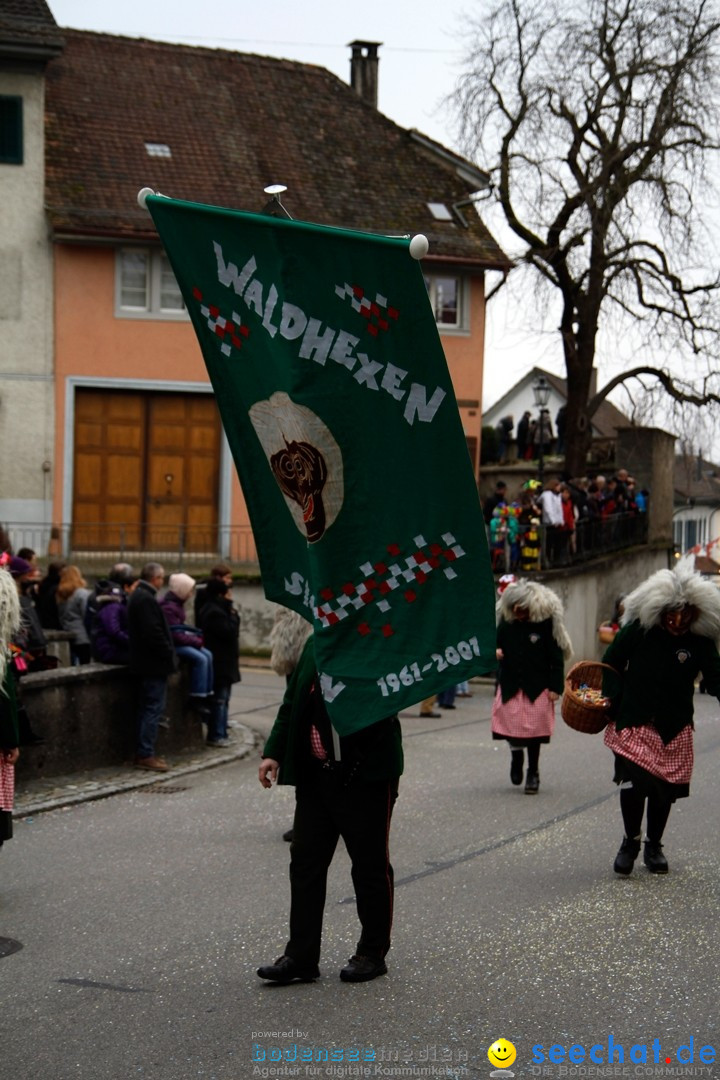 Fasnets-Umzug: Schweiz - Diessenhofen am Bodensee, 13.01.2013