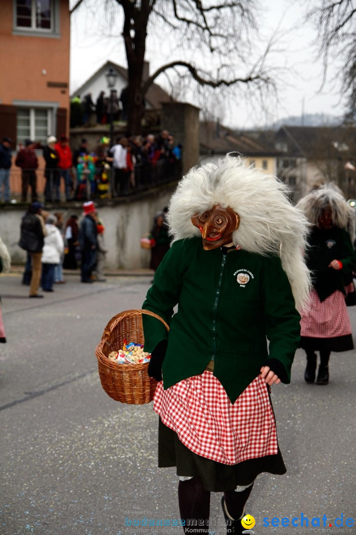 Fasnets-Umzug: Schweiz - Diessenhofen am Bodensee, 13.01.2013