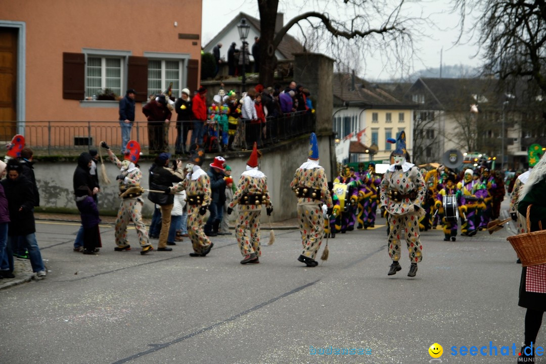 Fasnets-Umzug: Schweiz - Diessenhofen am Bodensee, 13.01.2013