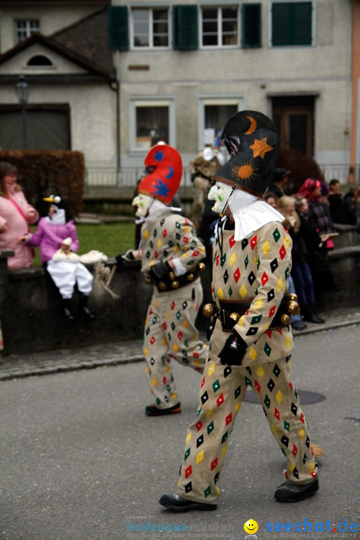 Fasnets-Umzug: Schweiz - Diessenhofen am Bodensee, 13.01.2013