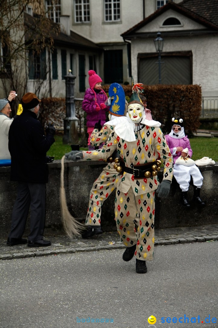 Fasnets-Umzug: Schweiz - Diessenhofen am Bodensee, 13.01.2013