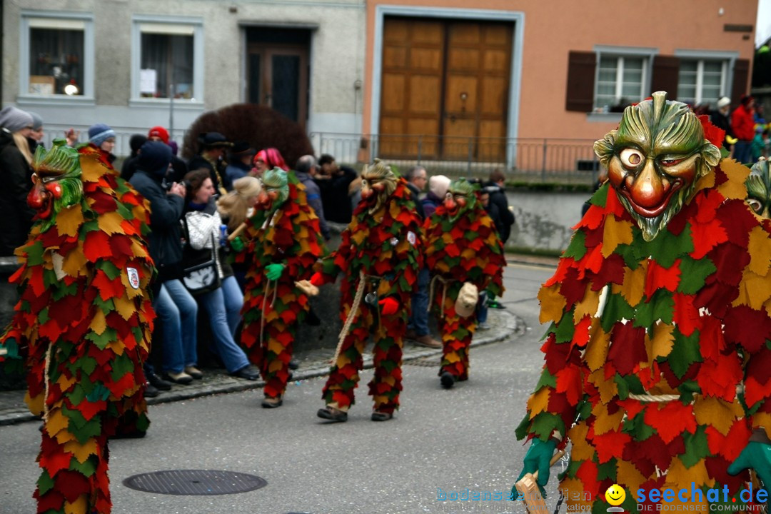 Fasnets-Umzug: Schweiz - Diessenhofen am Bodensee, 13.01.2013