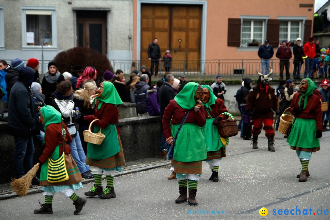 Fasnets-Umzug: Schweiz - Diessenhofen am Bodensee, 13.01.2013