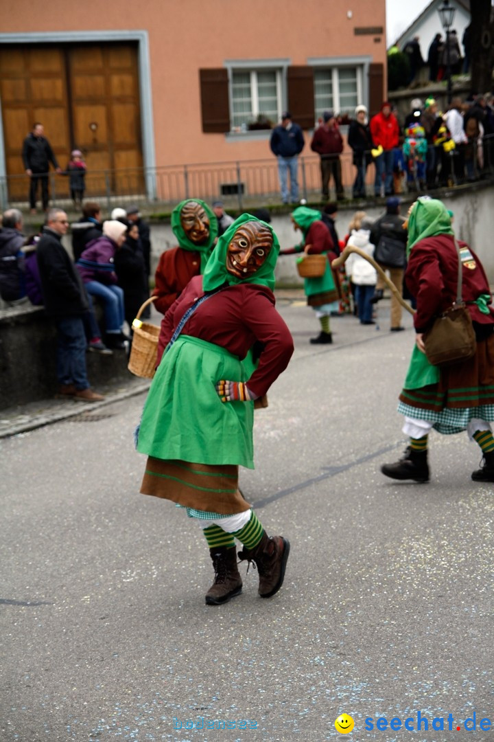 Fasnets-Umzug: Schweiz - Diessenhofen am Bodensee, 13.01.2013