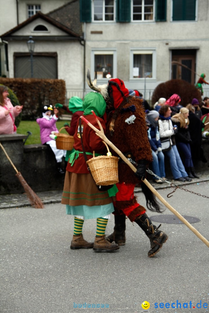 Fasnets-Umzug: Schweiz - Diessenhofen am Bodensee, 13.01.2013