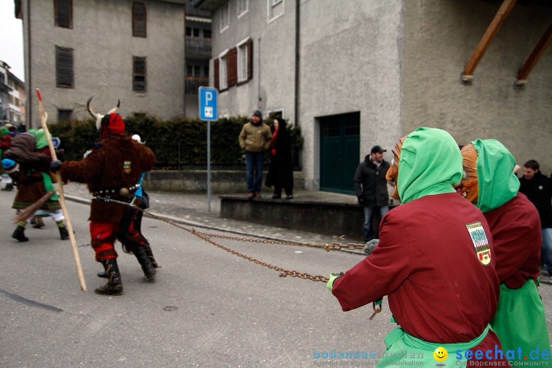 Fasnets-Umzug: Schweiz - Diessenhofen am Bodensee, 13.01.2013