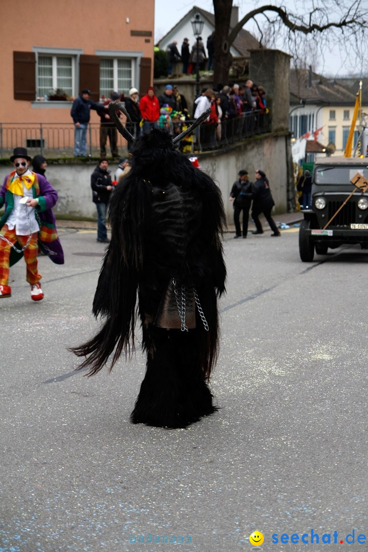 Fasnets-Umzug: Schweiz - Diessenhofen am Bodensee, 13.01.2013