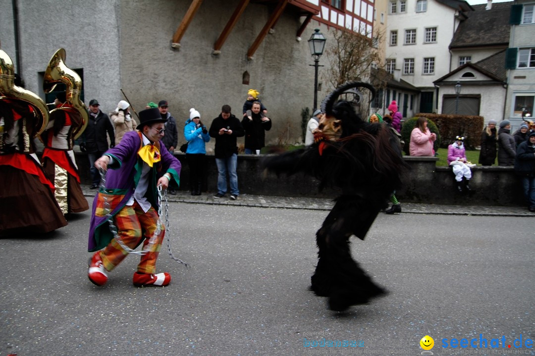 Fasnets-Umzug: Schweiz - Diessenhofen am Bodensee, 13.01.2013