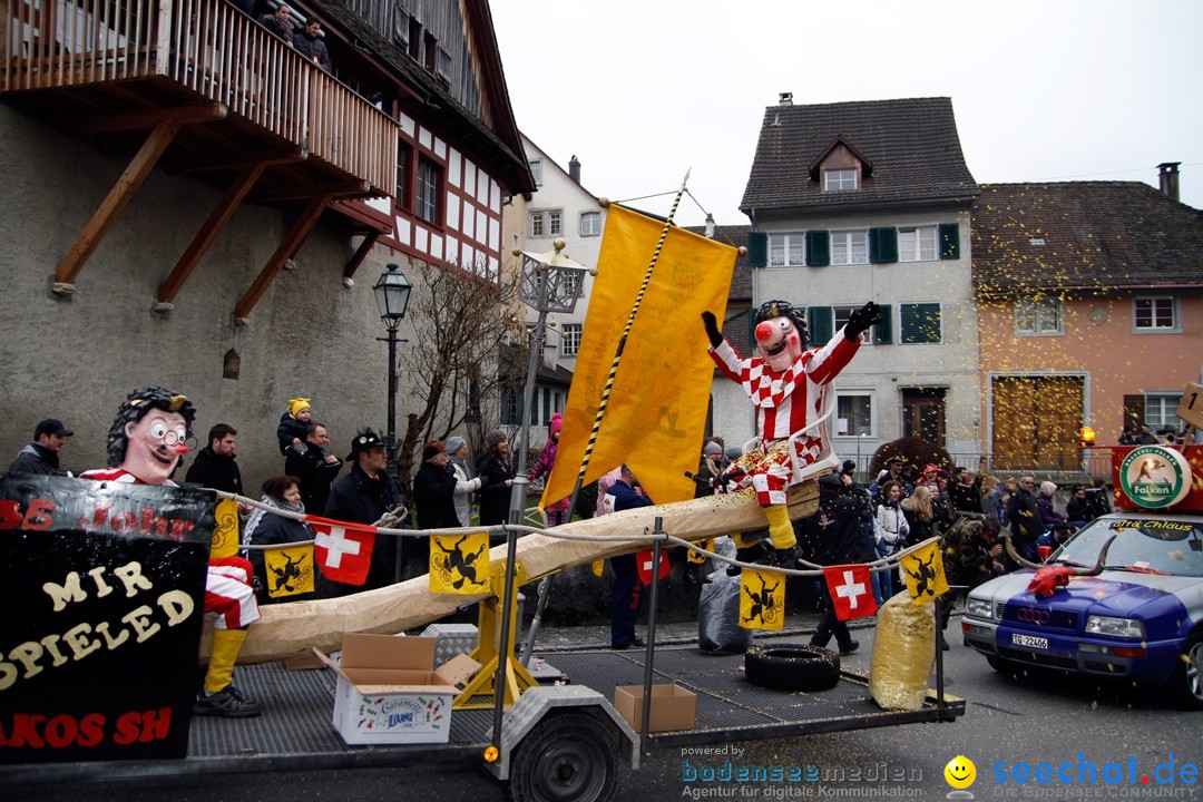 Fasnets-Umzug: Schweiz - Diessenhofen am Bodensee, 13.01.2013