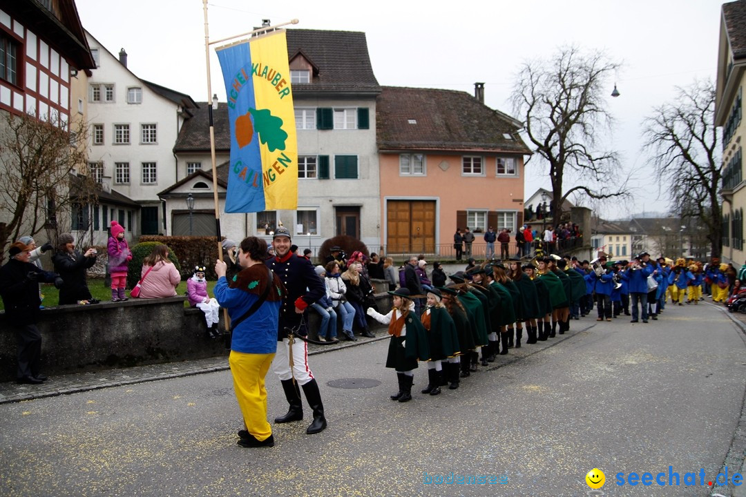 Fasnets-Umzug: Schweiz - Diessenhofen am Bodensee, 13.01.2013