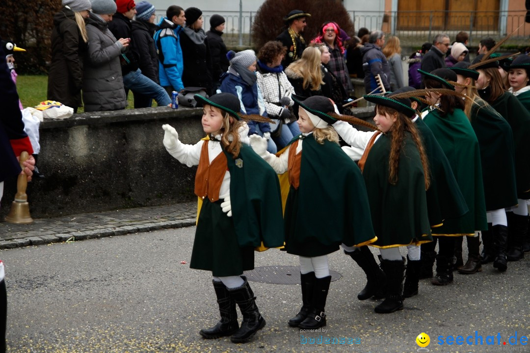 Fasnets-Umzug: Schweiz - Diessenhofen am Bodensee, 13.01.2013