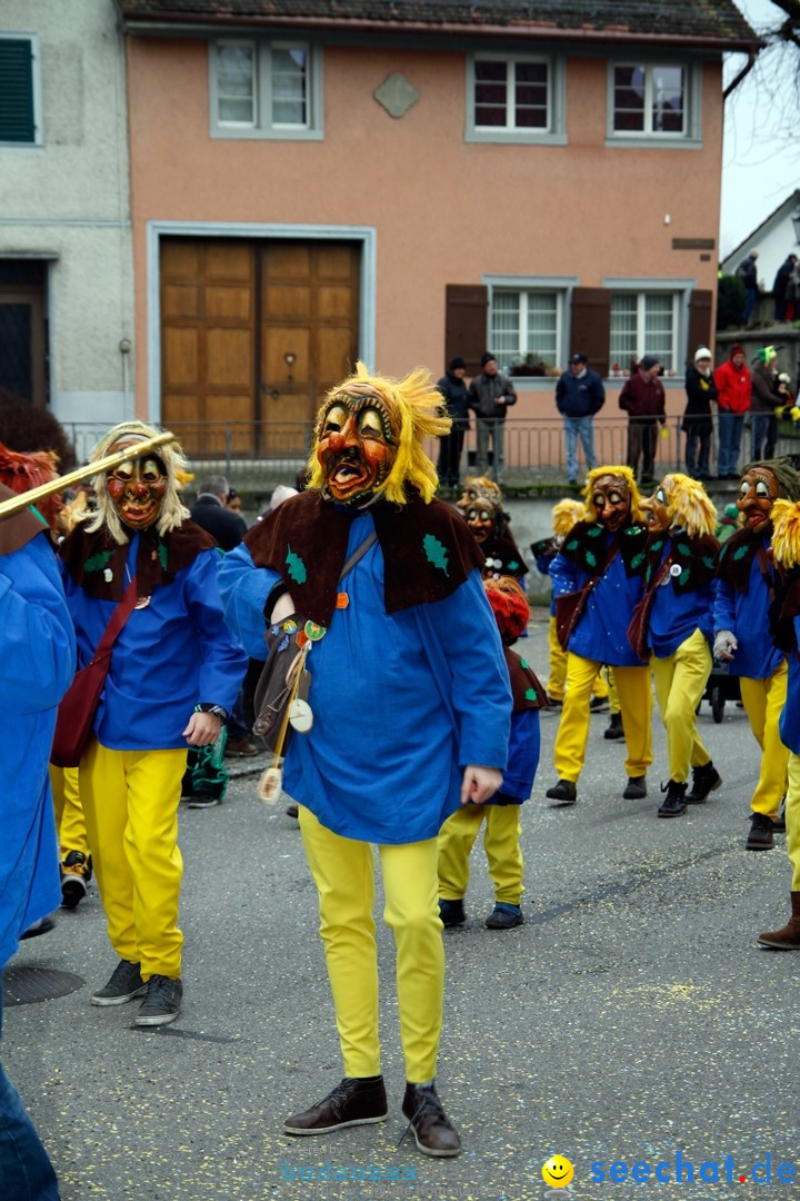 Fasnets-Umzug: Schweiz - Diessenhofen am Bodensee, 13.01.2013