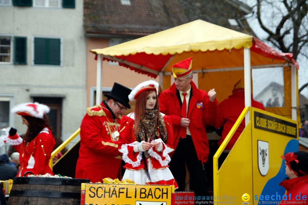 Fasnets-Umzug: Schweiz - Diessenhofen am Bodensee, 13.01.2013