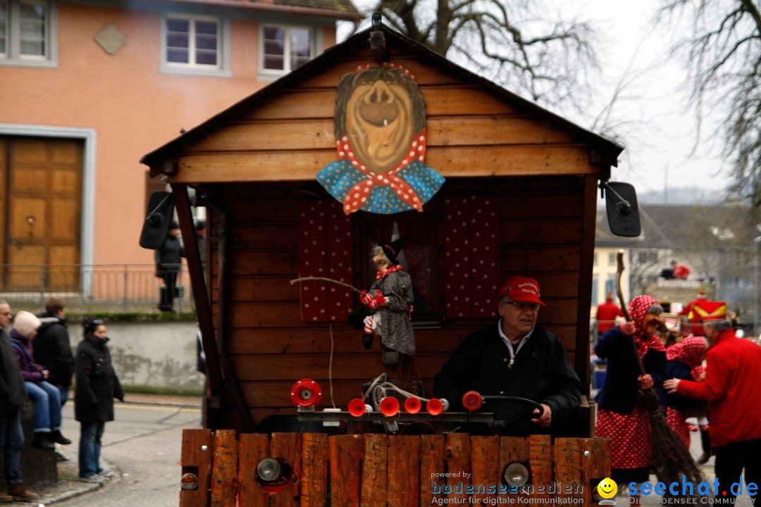 Fasnets-Umzug: Schweiz - Diessenhofen am Bodensee, 13.01.2013