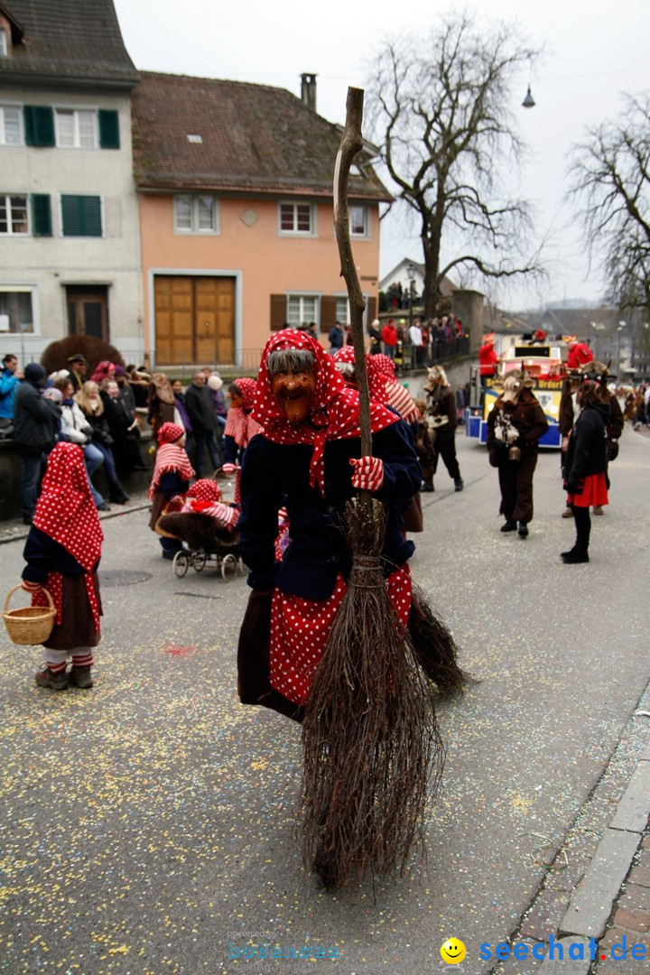 Fasnets-Umzug: Schweiz - Diessenhofen am Bodensee, 13.01.2013