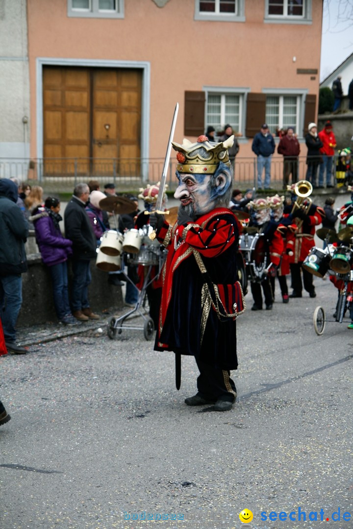 Fasnets-Umzug: Schweiz - Diessenhofen am Bodensee, 13.01.2013