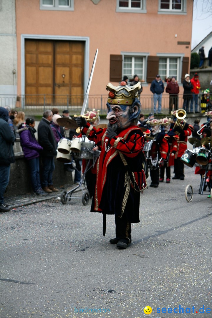 Fasnets-Umzug: Schweiz - Diessenhofen am Bodensee, 13.01.2013